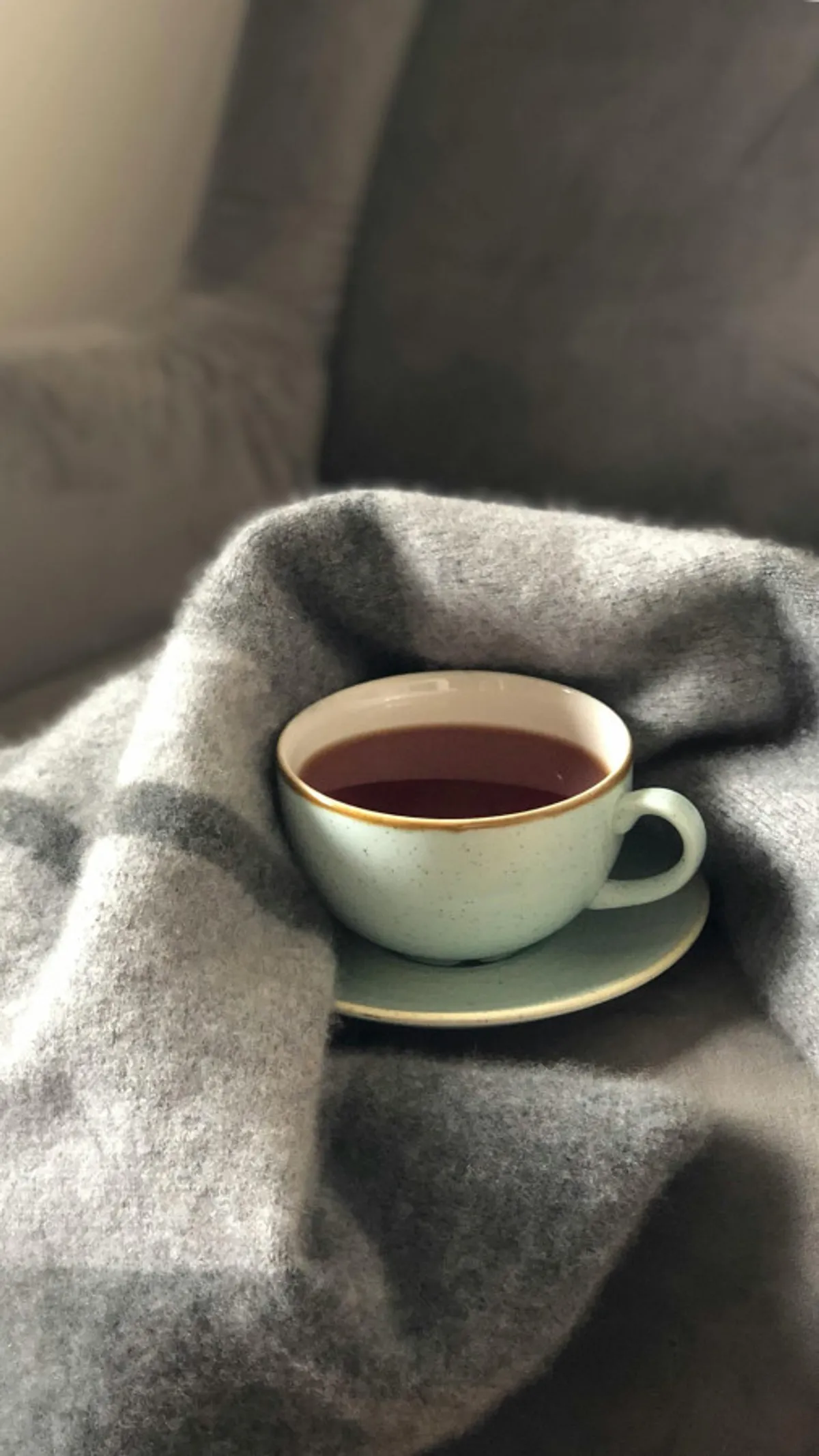 A cozy sitting area with a cup of tea, a soft blanket, and comfortable seating, perfect for relaxing after a day outdoors.