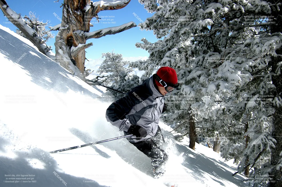 A skier is captured mid-descent on a snow-covered slope, surrounded by trees. The scene evokes excitement and adventure, highlighting the exhilaration of winter sports.